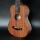 21 hüvelykes Ukulele szoprán kezdő Ukulele gitár Ukulele mahagóni Nyak Delic D2B7