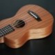 21 hüvelykes Ukulele szoprán kezdő Ukulele gitár Ukulele mahagóni Nyak Delic D2B7