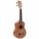 IRIN Ukulele 21 hüvelykes mini akusztikus gitár Sapele koncert Ukulele 15 Frets 4 J4S5