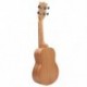 IRIN Ukulele 21 hüvelykes mini akusztikus gitár Sapele koncert Ukulele 15 Frets 4 J4S5