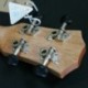 3X (Ukulele Uke 4 nejlon húrok Sapele rózsafa gitár delfin mintázat Unive S7A6