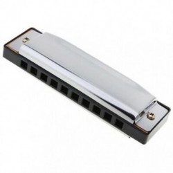 3X (10 lyukú Blues Harmonica hangszer rozsdamentes acélból készült szájszerv P3J1