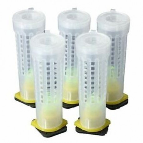 5 db méhészeti méhkirálynő méhnevelő sejtes tubuláris csésze méh ketrecek   tartó és Fixt B9I6