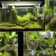 2X üveg vízi növények csészés edény 4X tapadókorongok akvárium akvárium Aquascape D5C2