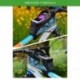 6X (Rockbros MTB Road Kerékpár Kerékpár Táskák Esőbiztos Prés képernyő Képernyő Kerékpározás Top F Y7L5