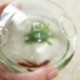 2X (gomba alakú, függő üvegtartó váza, Rumble haltartály Terrarium Co V7W5