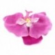 1X (női lányok orchidea virágos hajcsat - lila D4Q7)