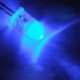 50db 5mm kerek kék víz tiszta LED fény dióda készlet