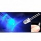 50db 5mm kerek kék víz tiszta LED fény dióda készlet