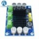 DC 12V 24V 100W TPA3116 D2 DA mono csatornás digitális hangerősítő kártya
