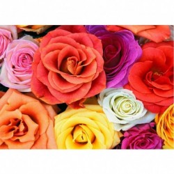 17 * Bunte Rose 40 * 30cm - Teljes körű fúró 5D strasszos kép barkácsolás virágok gyémántfestés