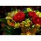 3 * Blumen Gras 100 * 50cm - Teljes körű fúró 5D strasszos kép barkácsolás virágok gyémántfestés