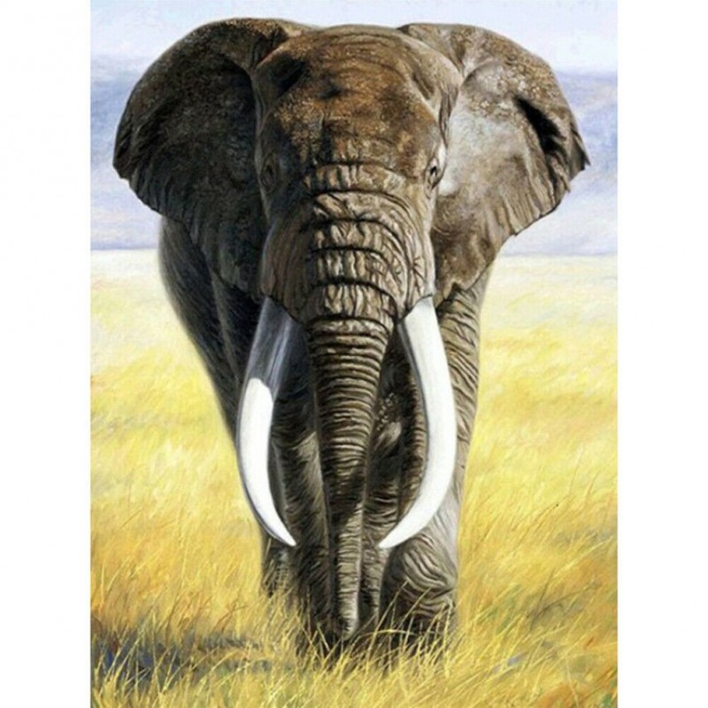 2 Elefant 30 40cm Art Teljes Koru Furo Kep Elefant 5d Keszlet Diy Gyemant