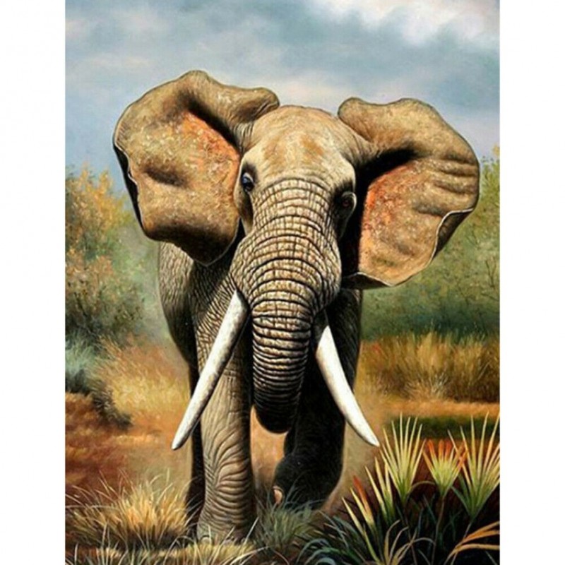 1 Elefant 30 40cm Art Teljes Koru Furo Kep Elefant 5d Keszlet Diy Gyemant