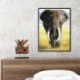 1 * Elefant 30 * 40cm - Art teljes körű fúró kép elefánt 5D készlet DIY gyémánt festmény rajz