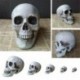 8 * 9 * 12cm - Mesterséges koponya fej modell horror kellék műanyag rajzfilm halloween dekoráció CA