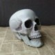 8 * 9 * 12cm - Mesterséges koponya fej modell horror kellék műanyag rajzfilm halloween dekoráció CA