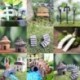 3db Mini fa - Figura miniatűr kézműves növény cserepes tündér babaház dekor kerti dísz DIY CA