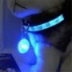 Kék - Kisállat kutya macska kiskutya LED villogó nyakörv csipesz csattal biztonsági éjszakai fény medál