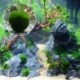 Nincs szín - Zöld óriás Marimo moha labda Cladophora élő akváriumi növény haltartó dekor CA