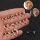 * 12 Arany - 1db Mini gyémántok gyűrűs rúd fülmászó Tragus Helix piercing fülbevaló