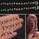 * 12 Arany - 1db Mini gyémántok gyűrűs rúd fülmászó Tragus Helix piercing fülbevaló