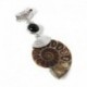 Zöld Tanglin - Rózsakvarc AMMONIT FOSSIL medál csakra reiki gyógyító amulett energia US