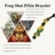 2. kötéllánc - Feng Shui fekete Obsidian Pixiu Wealth Good Luck sárkány medál nyaklánc ékszerek