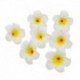 H13 - 10db / tétel Plumeria hawaii PE hab Frangipani művirág fejdísz virág tojásvirág esküvői dekoráció party