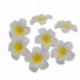 H13 - 10db / tétel Plumeria hawaii PE hab Frangipani művirág fejdísz virág tojásvirág esküvői dekoráció party