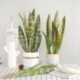 1db-11levelek - Mesterséges növények otthoni kert dekorációhoz Sansevieria ág hamis virágok műanyag levelek bonsai zöld