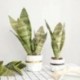 1db-11levelek - Mesterséges növények otthoni kert dekorációhoz Sansevieria ág hamis virágok műanyag levelek bonsai zöld
