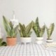 1db-11levelek - Mesterséges növények otthoni kert dekorációhoz Sansevieria ág hamis virágok műanyag levelek bonsai zöld