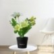 Szép mesterséges növények cserepes szimulációval Mini virágok Bonsai cserepes zöld zöld hamis növények asztaldísz