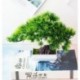 Szín: shengdanshu zöld - Mesterséges növények Cserepes bonsai zöld kis fa növények Hamis virágok Cserepes díszek
