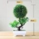 Szín: shengdanshu zöld - Mesterséges növények Cserepes bonsai zöld kis fa növények Hamis virágok Cserepes díszek