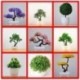 Szín: longxushu zöld - Többstílusú mesterséges növények Bonsai szimuláció fa növény Cserepes fényképes kellékek