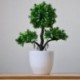 Szín: longxushu zöld - Többstílusú mesterséges növények Bonsai szimuláció fa növény Cserepes fényképes kellékek
