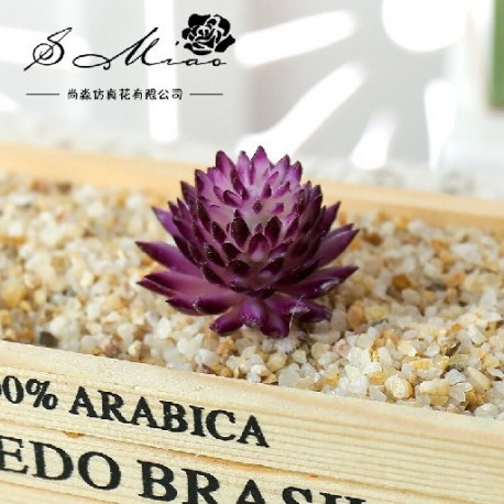 Mérete: 6cmx4cm - Műnövény PVC Mini hamis növények Mesterséges pozsgás növények Virágkötészeti Kiegészítők