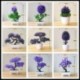 Szín: lila yuyameiguilei - Violet sorozat Bonsai mesterséges növények Cserepes hamis növények Cserepes fű műanyag