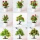 Szín: 7 alma - Mesterséges növény Multi stílusú mini cserepes bonsai kis gyümölcsfa cserepes esküvőre Otthon