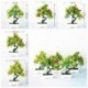 Szín: 7 alma - Mesterséges növény Multi stílusú mini cserepes bonsai kis gyümölcsfa cserepes esküvőre Otthon
