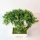Szín: zöld - Új mesterséges bonsai üdvözlő fenyő bonsai mesterséges cserepes növény esküvő karácsonyi