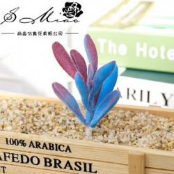 Szín: jiaocao ZR kék - 1db Mini Bonsai Mesterséges pelyhesítő pozsgások Növények Esküvői Otthon Kerti Dekoráció
