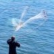 Szín: 30M hosszú 0,7M magas - Horgászháló Halhálós csapda Nylon tartós monofil kopoltyúháló háló kültéri