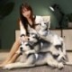 Szín: 69 cm fekvő - Kiváló minőségű nagy szimulációs kutya plüssjáték, kitömött élethű husky kutya Kawaii baba