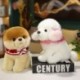 Szín: szürke - 1 db 25 cm-es Lovely Husky uszkár pomerániai plüss játékok Kawaii kisállat kutyák kitömött puha állat