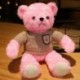 Szín: 13 - 1db 35cm-es Kawaii Hug Pulóver Teddy Bear Plüss babák Lovely Bear ruhákkal Szívpárna Szép esküvői Valentin