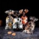 Szín: boo - 50 db aranyos átlátszó halloween-i trükk vagy csemege cukorka zacskók csavarokkal barkácsolj sütik Snack