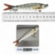 Szín: 2 - Lure Bionic többrészes csali, törött szakaszú kemény csaliszövet, többrészes hal 13,5/26G